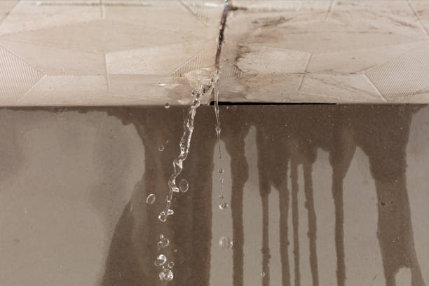 Professional Structural Drying technician working in Casnovia, MI